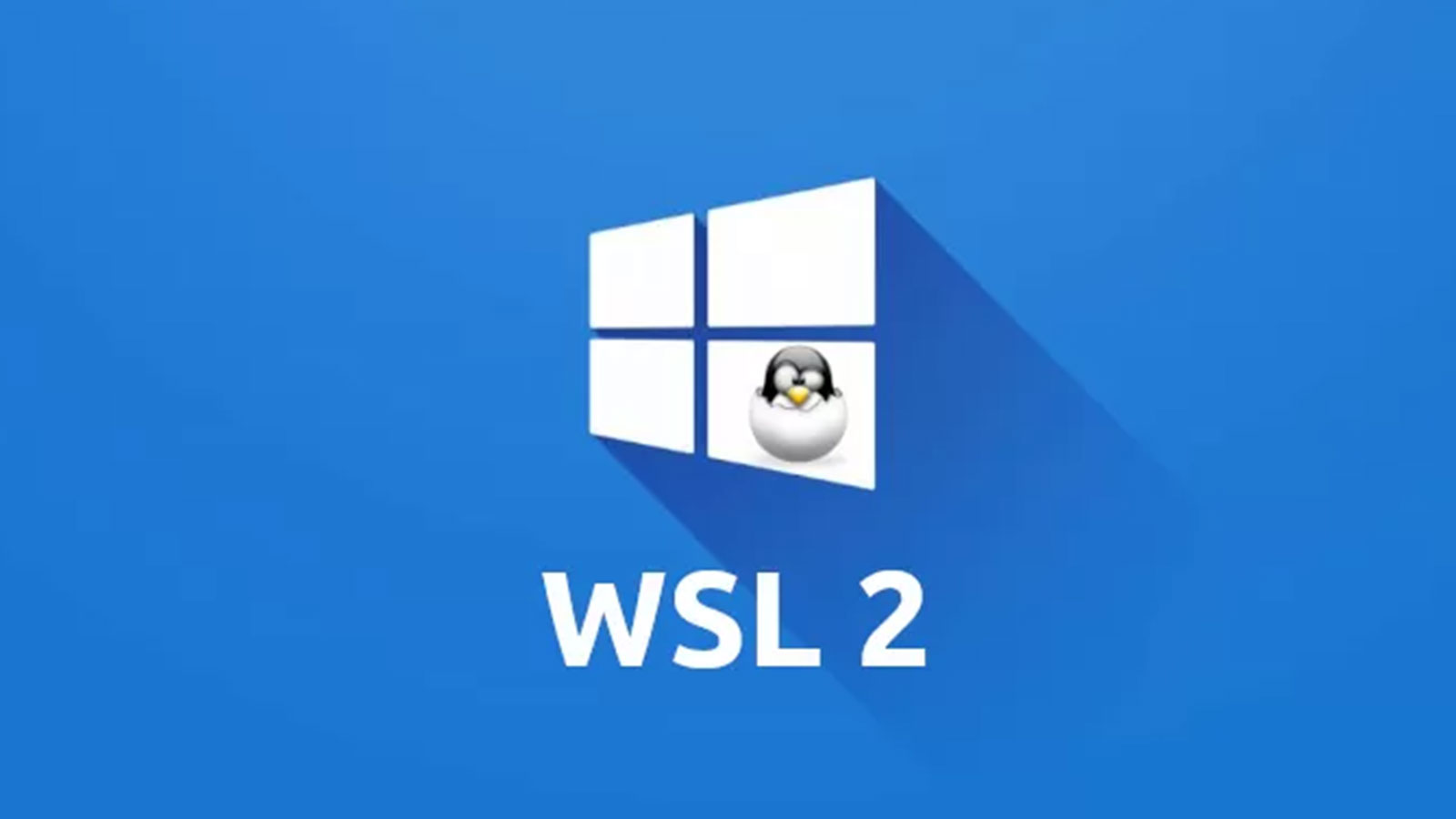 Các câu lệnh thường sử dụng trong WSL2 windows 10